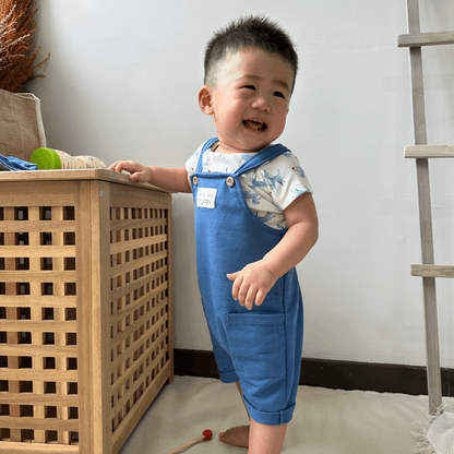 Rene Rofe Baby 3in1 dungree set (Blueberry)